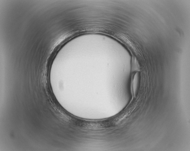 X0000115821071200912041623