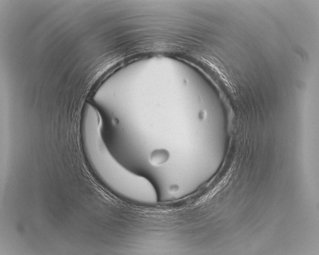 X0000115821073200912041623