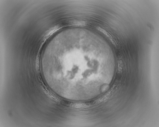 X0000115821074200912041623