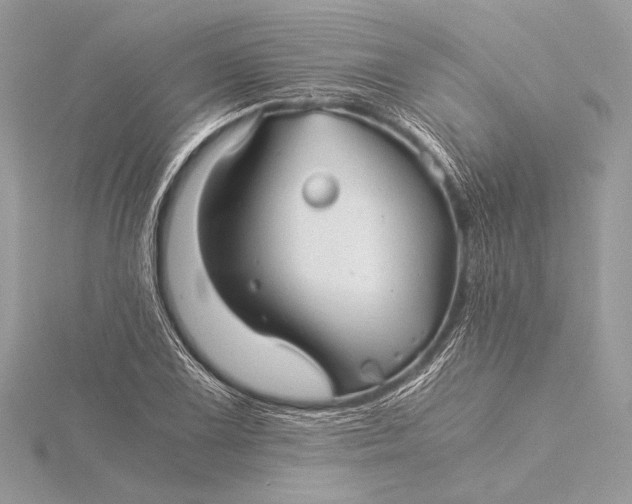 X0000115821075200912041622