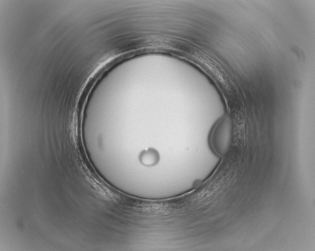 X0000115821076200912041622