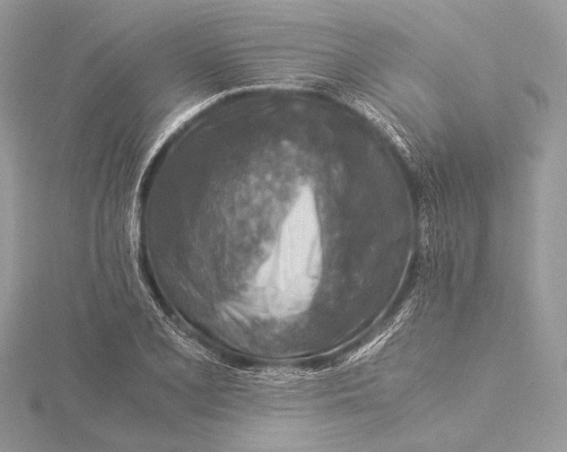 X0000115821077200912041622