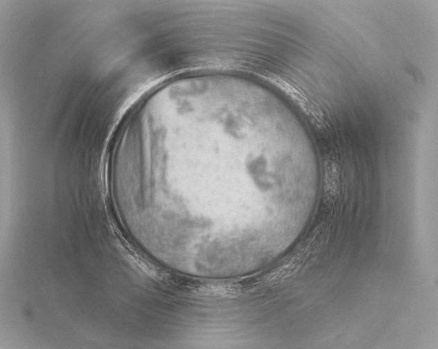 X0000115821078200912041622