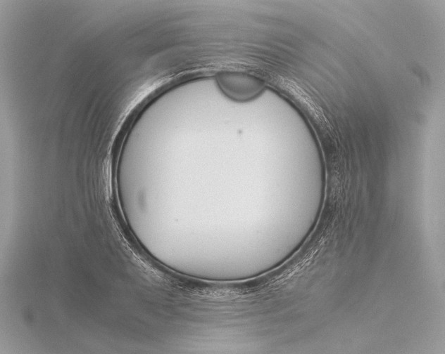 X0000115821079200912041622