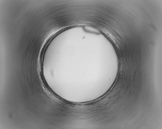 X0000115821080200912041622