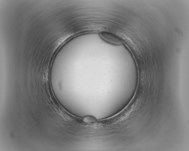 X0000115821081200912041622