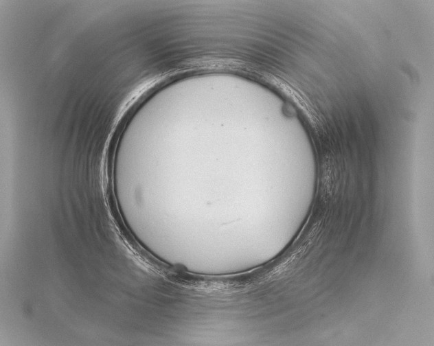 X0000115821082200912041622