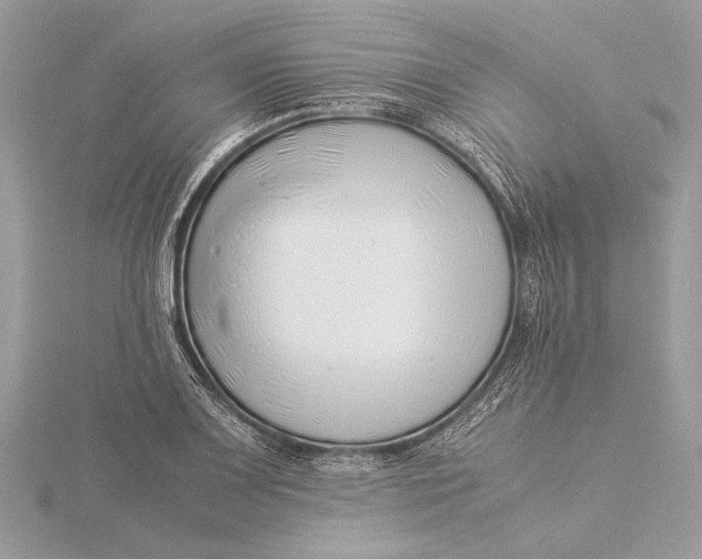 X0000115821083200912041622