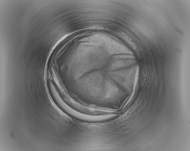 X0000115821084200912041622