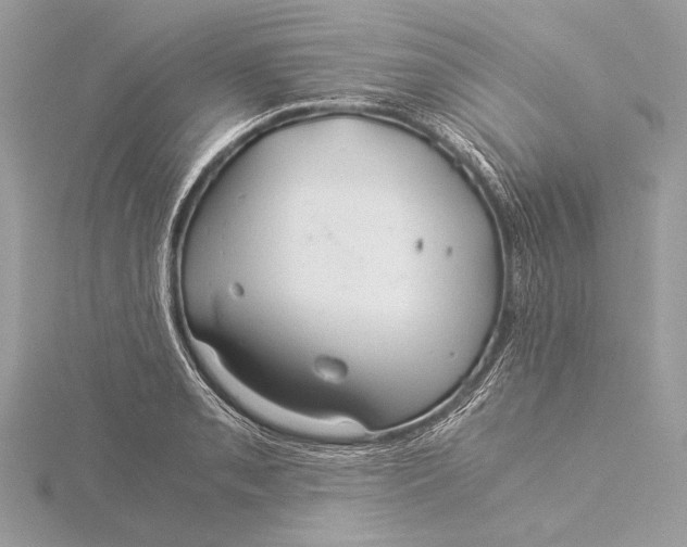 X0000115821085200912041622