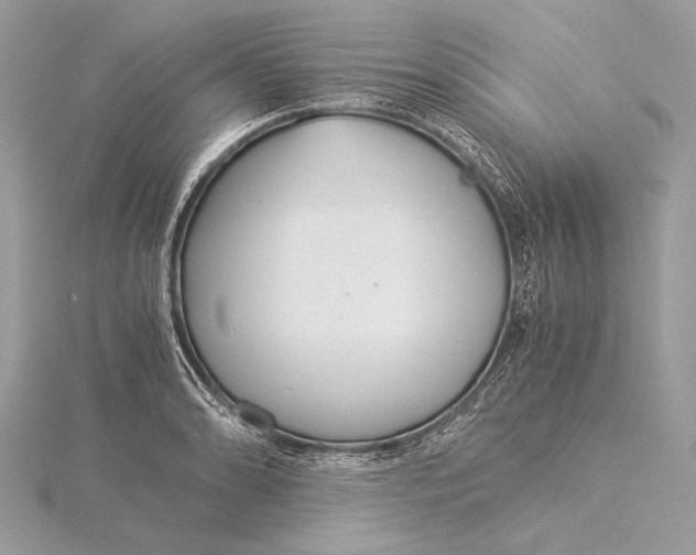 X0000115821086200912041622