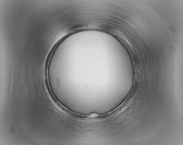 X0000115821087200912041622