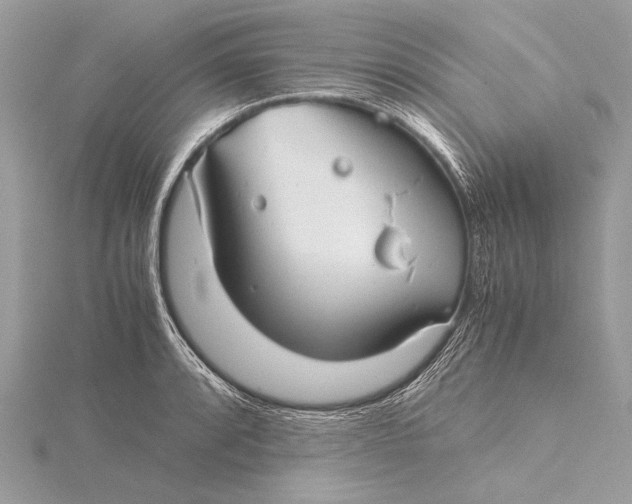 X0000115821088200912041622