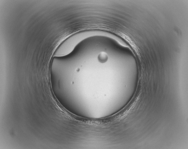 X0000115821089200912041622