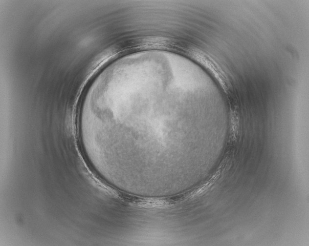 X0000115821090200912041622