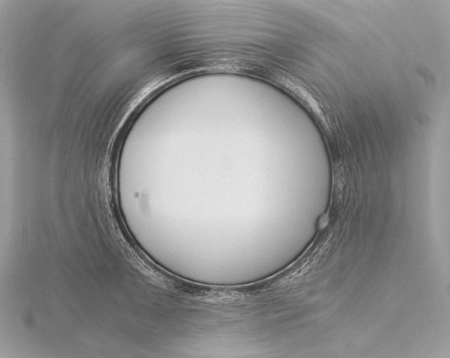 X0000115821091200912041622