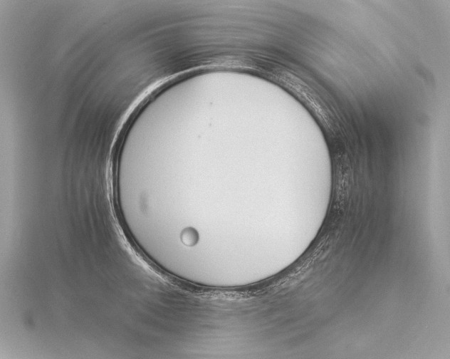 X0000115821092200912041622