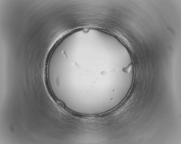 X0000115821093200912041622