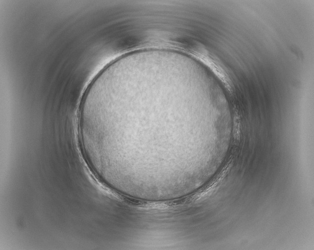 X0000115821094200912041622