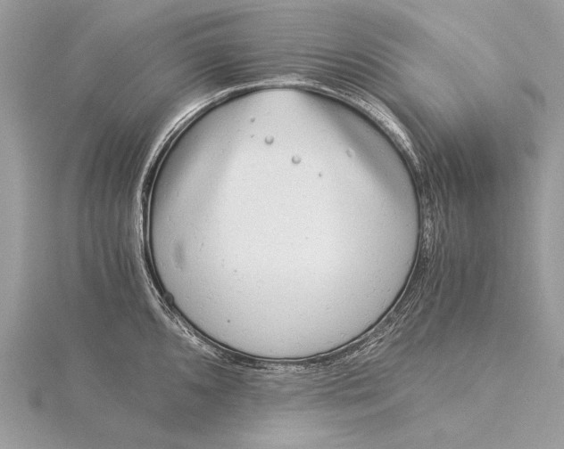 X0000115821096200912041622