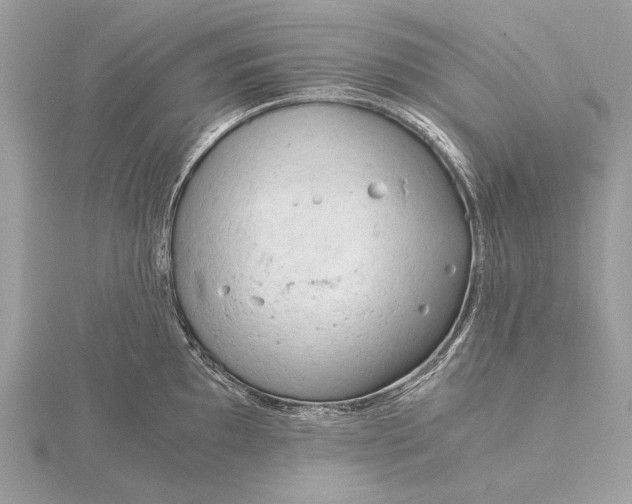 X0000115821097200912041622