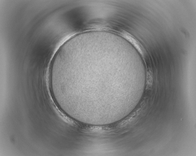 X0000115821098200912041622