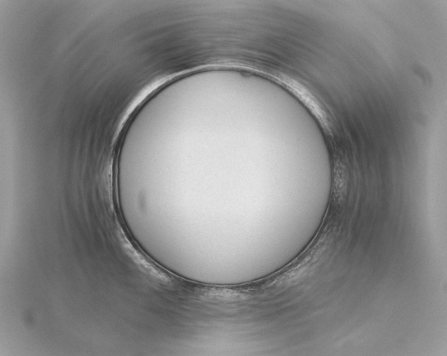 X0000115821100200912041622