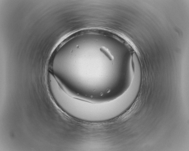 X0000115821101200912041622