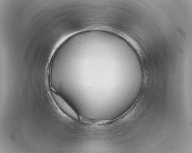 X0000115821102200912041622