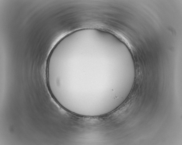 X0000115821103200912041622