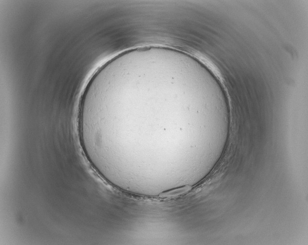 X0000115821104200912041622