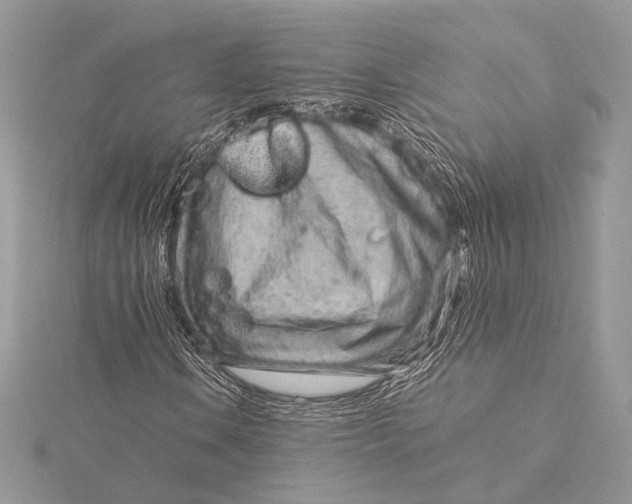 X0000115821106200912041621