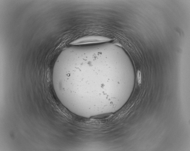 X0000115821107200912041621