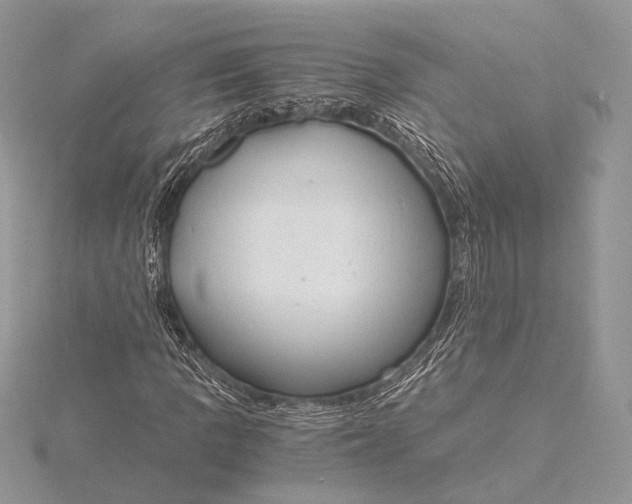 X0000115821109200912041622