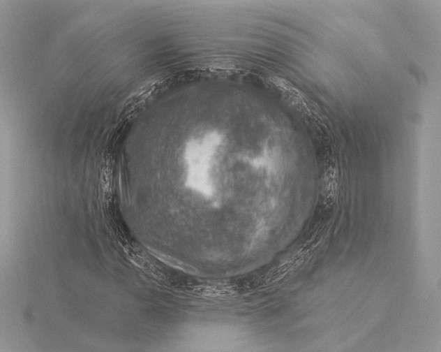 X0000115821110200912041622