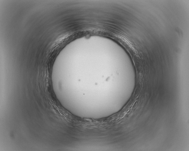 X0000115821111200912041622