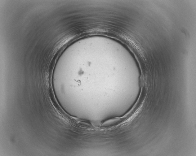 X0000115821113200912041622