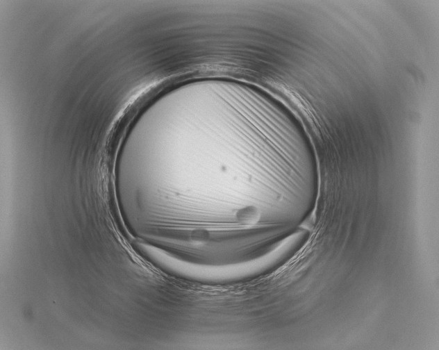 X0000115821115200912041622