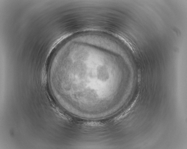 X0000115821117200912041622