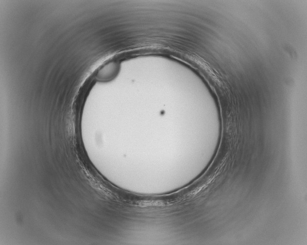 X0000115821118200912041622