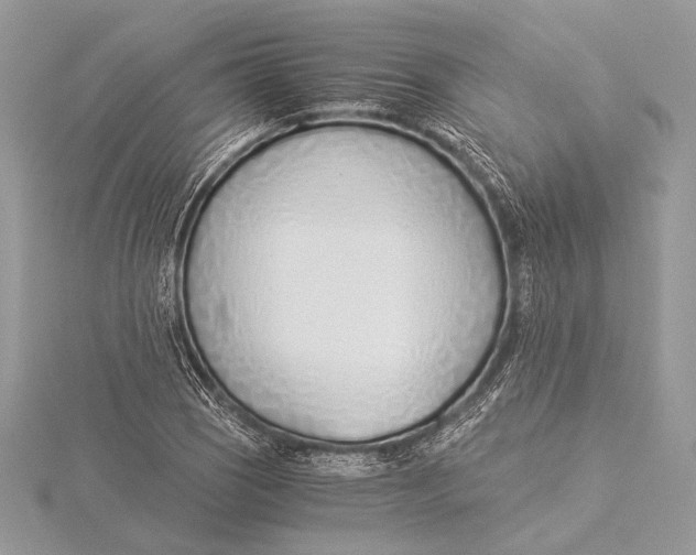 X0000115821121200912041622