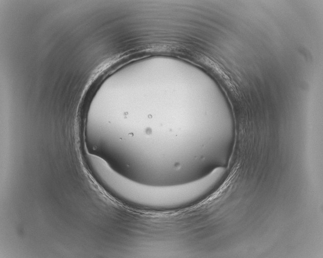 X0000115821122200912041622