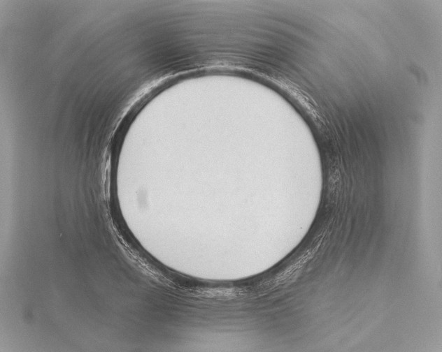 X0000115821126200912041622