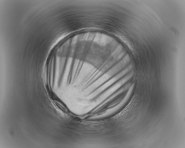 X0000115821127200912041622