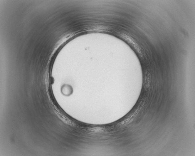 X0000115821130200912041622