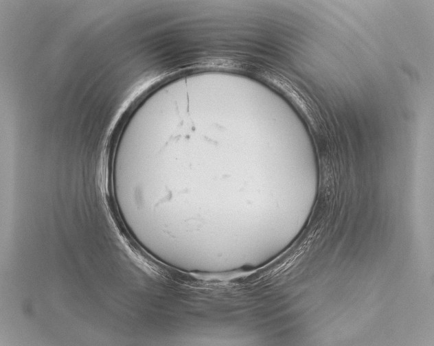 X0000115821131200912041622