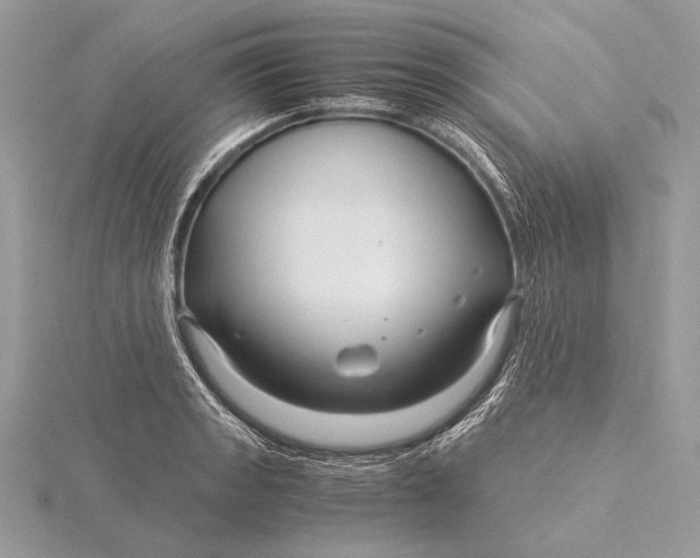 X0000115821133200912041622