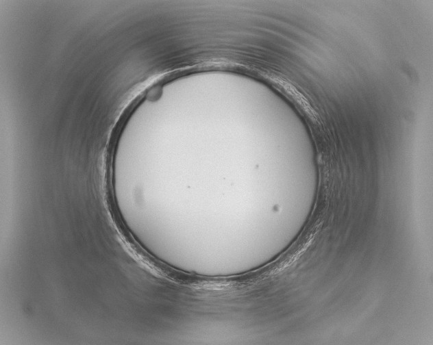 X0000115821134200912041622