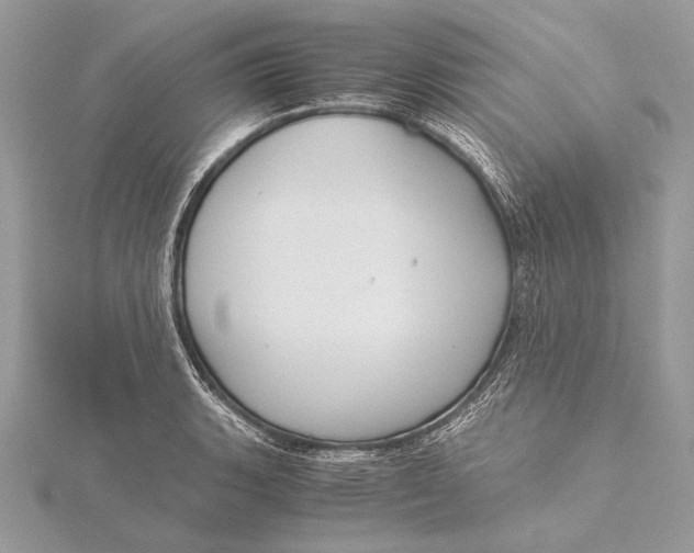 X0000115821135200912041622