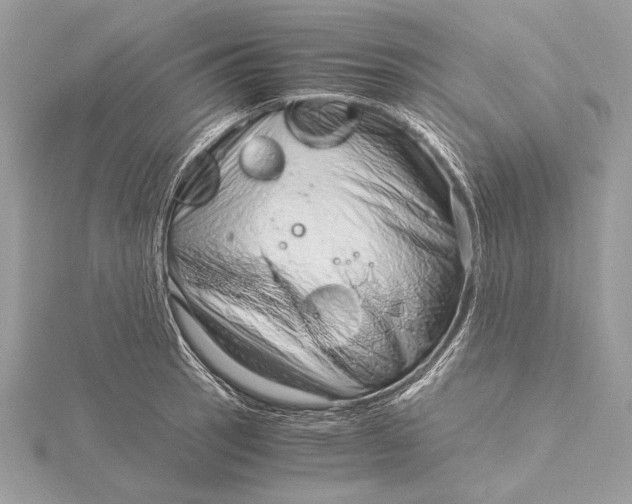 X0000115821137200912041622